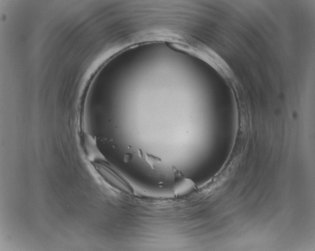 X0000068771144200604281232