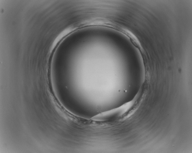 X0000068771146200604281232