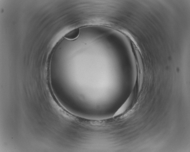 X0000068771147200604281232