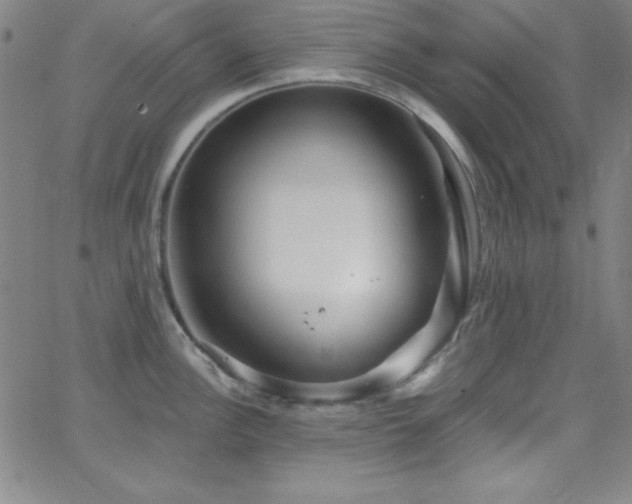 X0000068771148200604281232