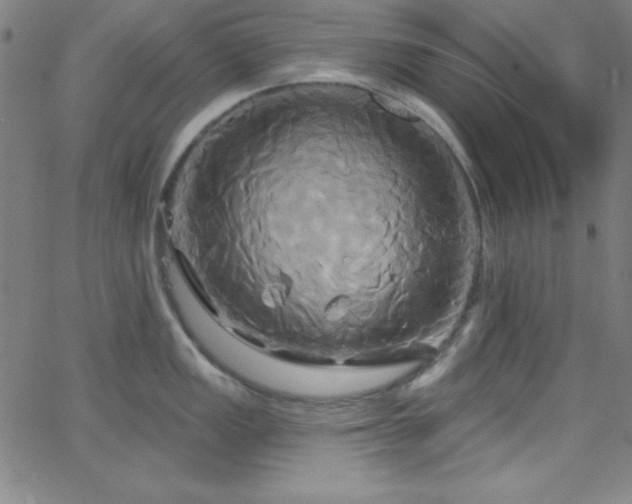 X0000068771149200604281232