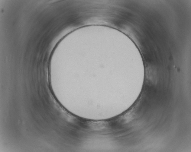 X0000068771150200604281232