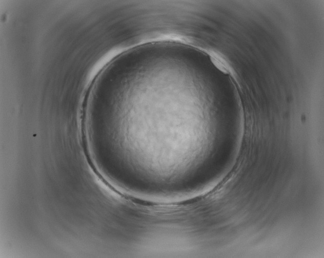 X0000068771151200604281232