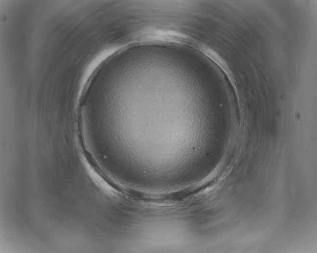 X0000068771152200604281232