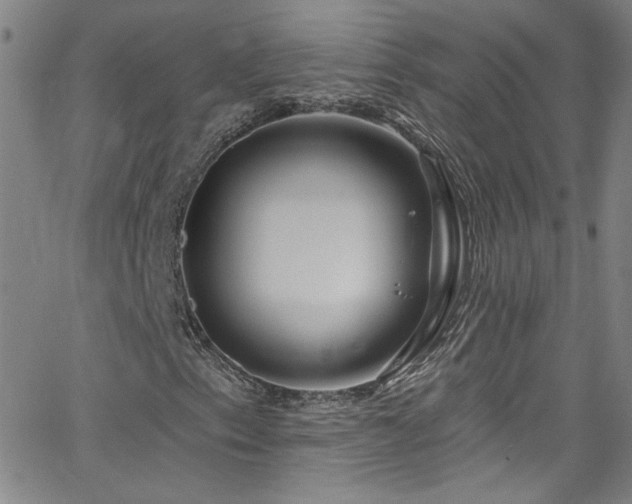 X0000068771153200604281231