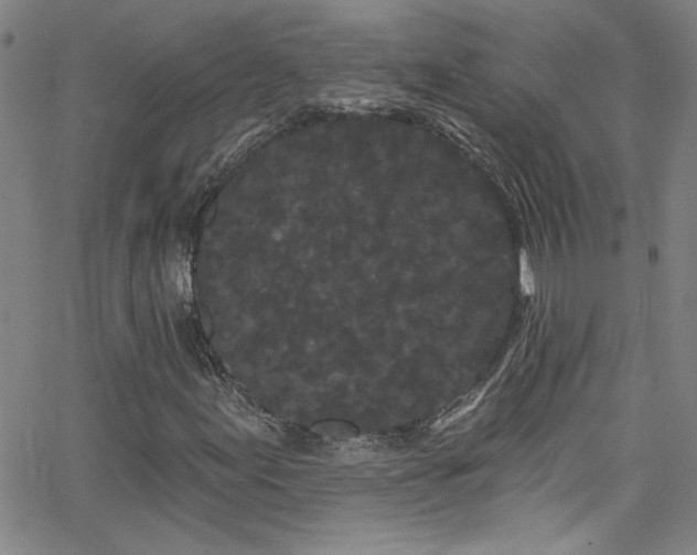 X0000068771155200604281231