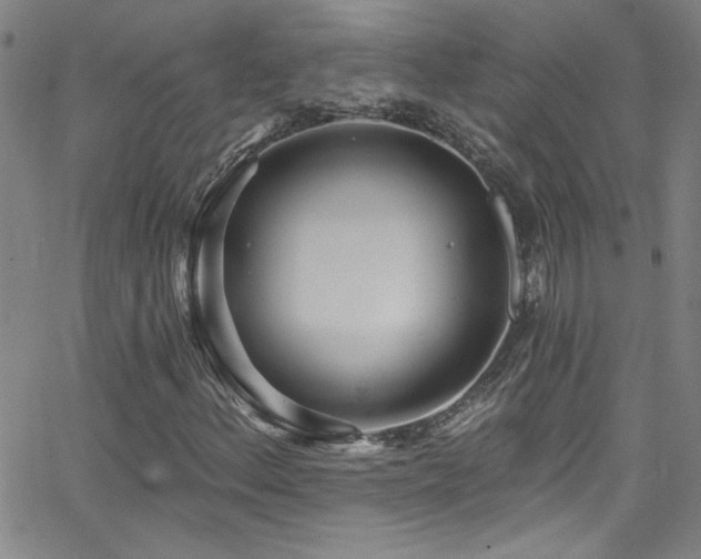 X0000068771156200604281231