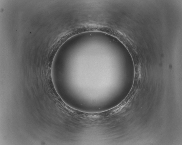 X0000068771157200604281231