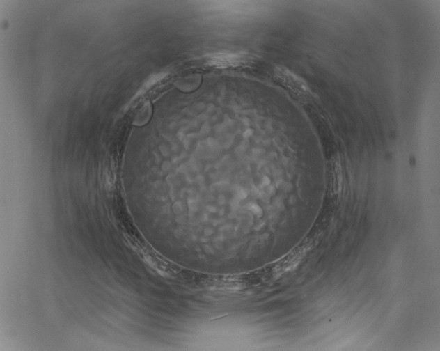 X0000068771158200604281231