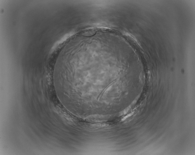 X0000068771159200604281231