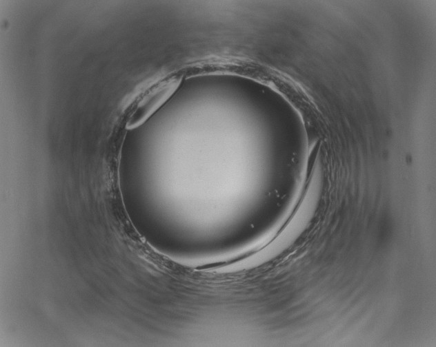 X0000068771160200604281231