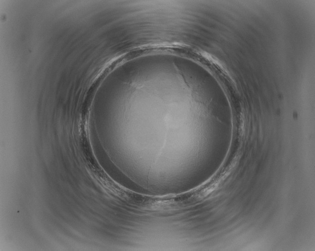 X0000068771161200604281231