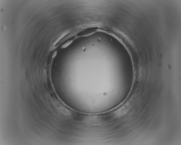 X0000068771162200604281231