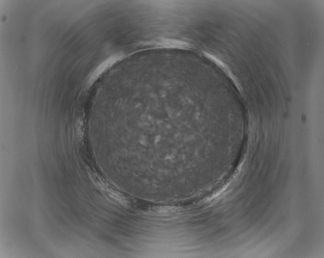 X0000068771163200604281231