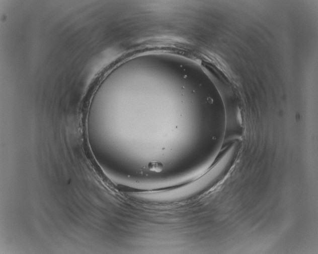 X0000068771164200604281231