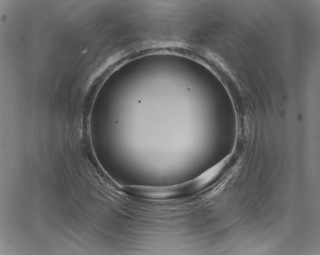 X0000068771165200604281231