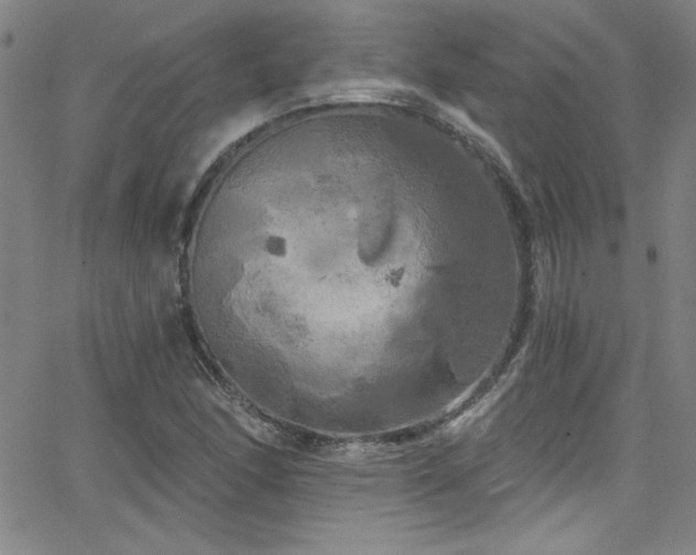 X0000068771166200604281231