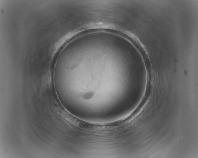 X0000068771167200604281231