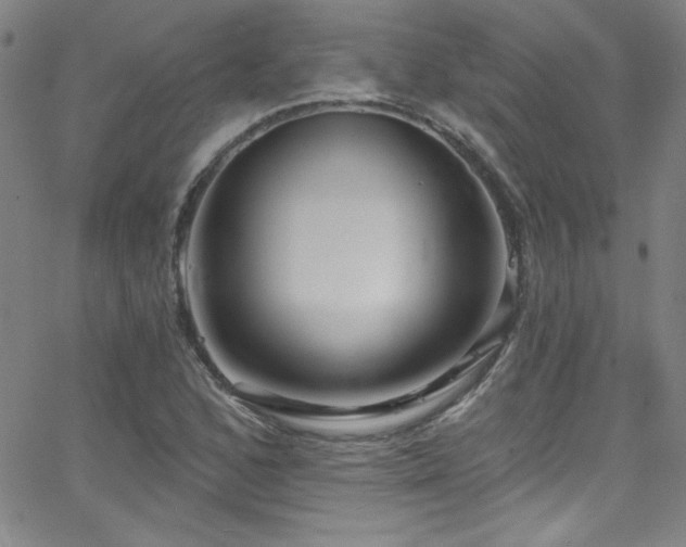 X0000068771168200604281231