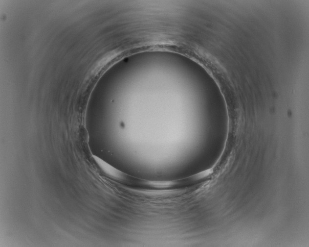 X0000068771169200604281231