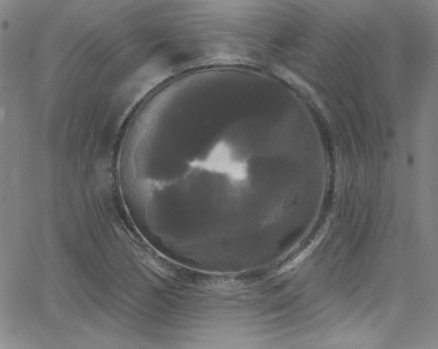 X0000068771170200604281231