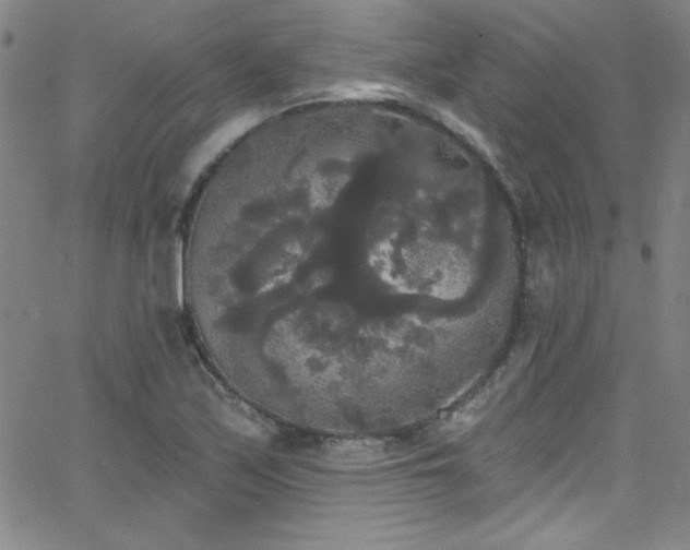 X0000068771171200604281231