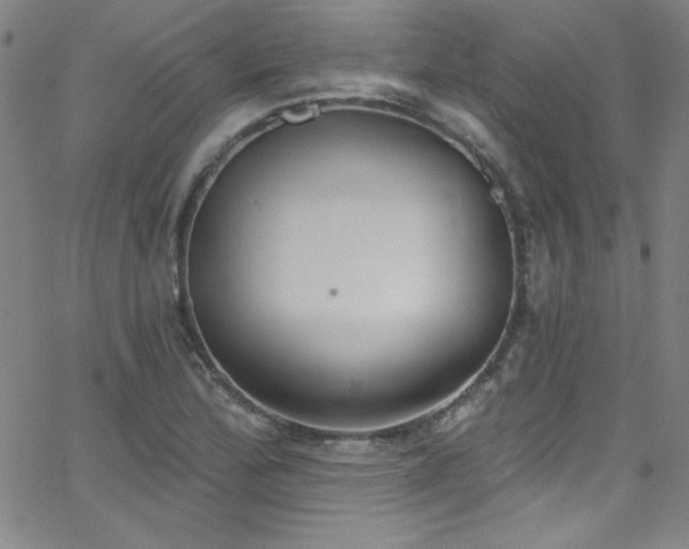 X0000068771172200604281231