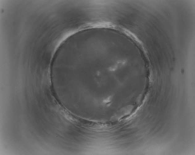 X0000068771174200604281231