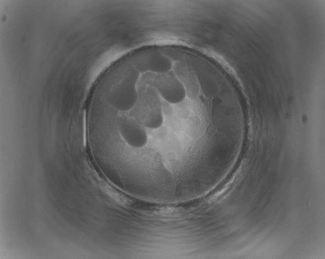 X0000068771175200604281230