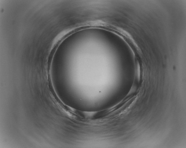 X0000068771176200604281230