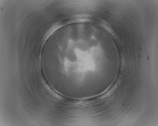 X0000068771178200604281230