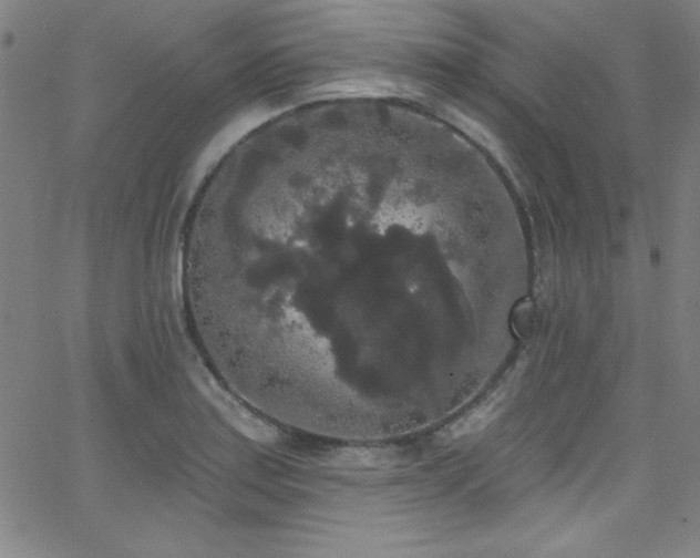 X0000068771179200604281230