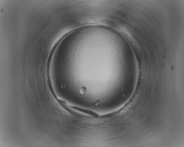 X0000068771182200604281230