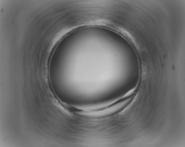 X0000068771184200604281230