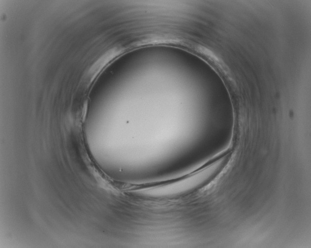 X0000068771185200604281230