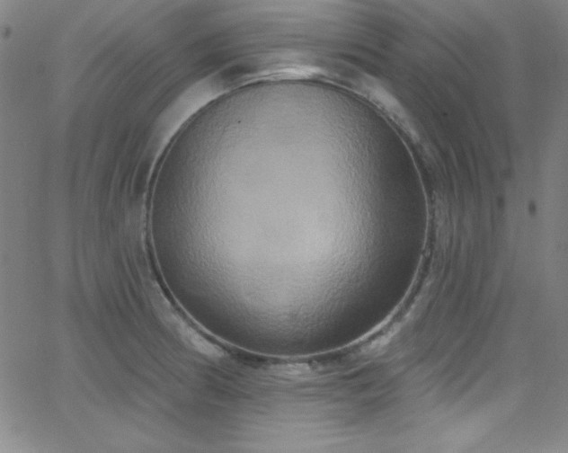 X0000068771186200604281230