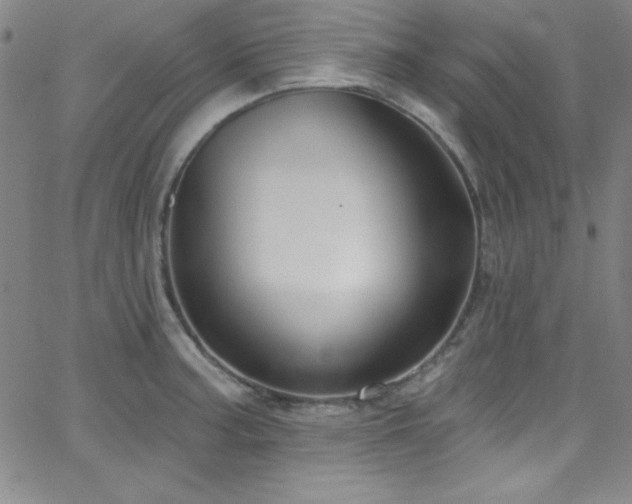 X0000068771187200604281230