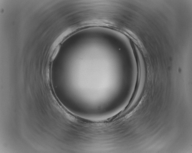 X0000068771188200604281230