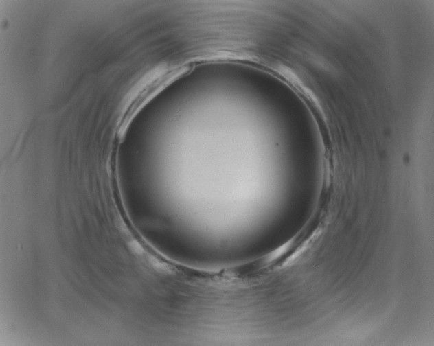 X0000068771189200604281230