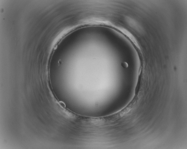 X0000068771191200604281230