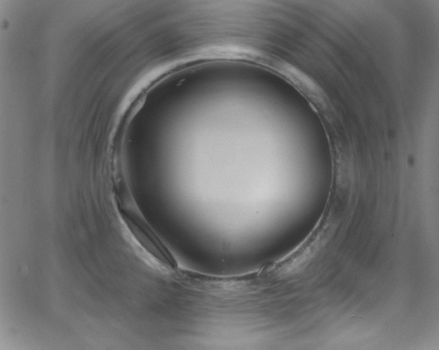 X0000068771192200604281230