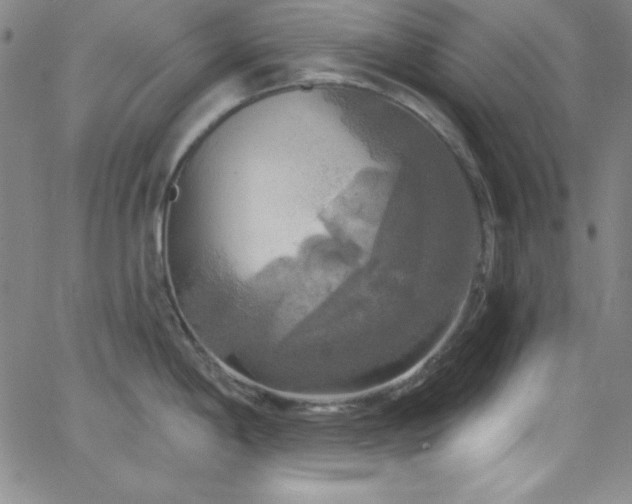 X0000068771198200604281230