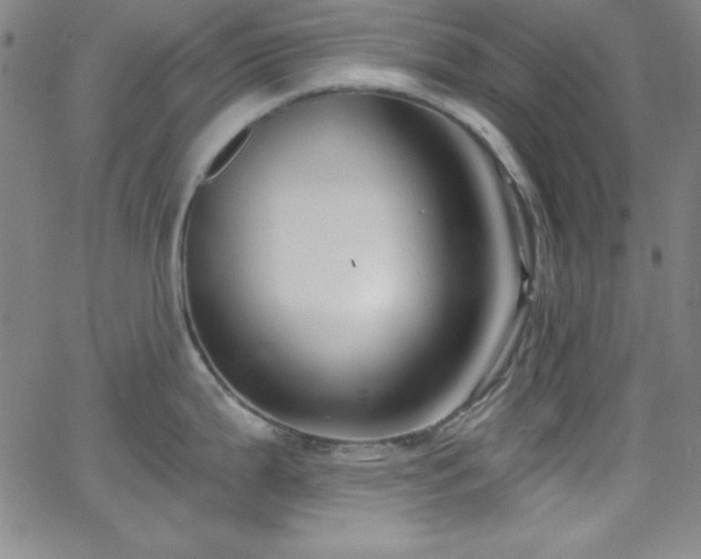 X0000068771199200604281230