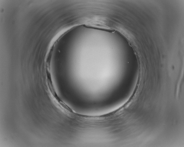 X0000068771200200604281230