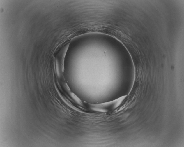 X0000068771202200604281229