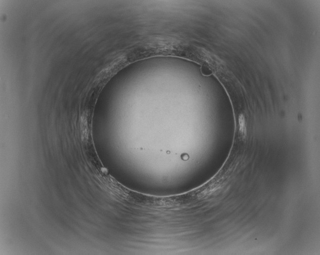 X0000068771203200604281229