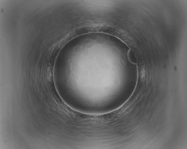 X0000068771204200604281229