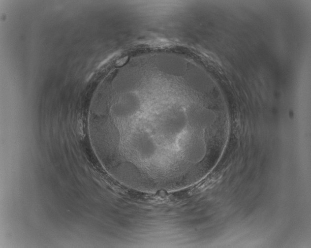 X0000068771205200604281229