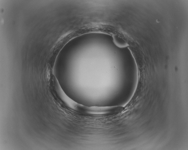 X0000068771206200604281229