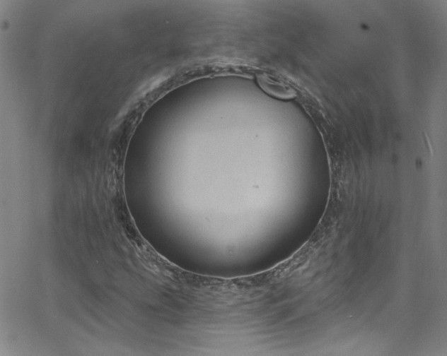 X0000068771207200604281229